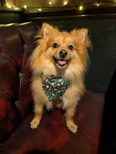 Load image into Gallery viewer, Step into Christmas 2 in 1 Bandana