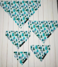 Load image into Gallery viewer, Winter Wonderland 2 in 1 Bandana