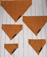 Load image into Gallery viewer, Seville Bandana