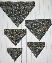 Load image into Gallery viewer, Pastel Paisley Power Bandana