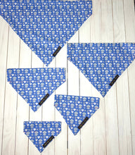 Load image into Gallery viewer, Shell Yeah! Bandana