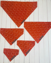 Load image into Gallery viewer, Blaze Bandana