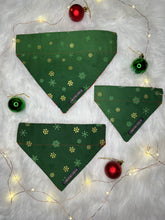 Load image into Gallery viewer, Robin Reversible Bandana