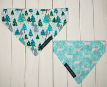 Load image into Gallery viewer, Winter Wonderland 2 in 1 Bandana
