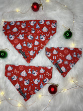 Load image into Gallery viewer, Robin Reversible Bandana
